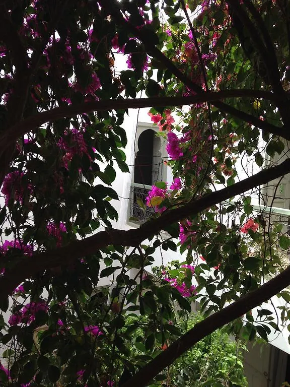 Riad Timila Marrakesh 3*,  Morocco