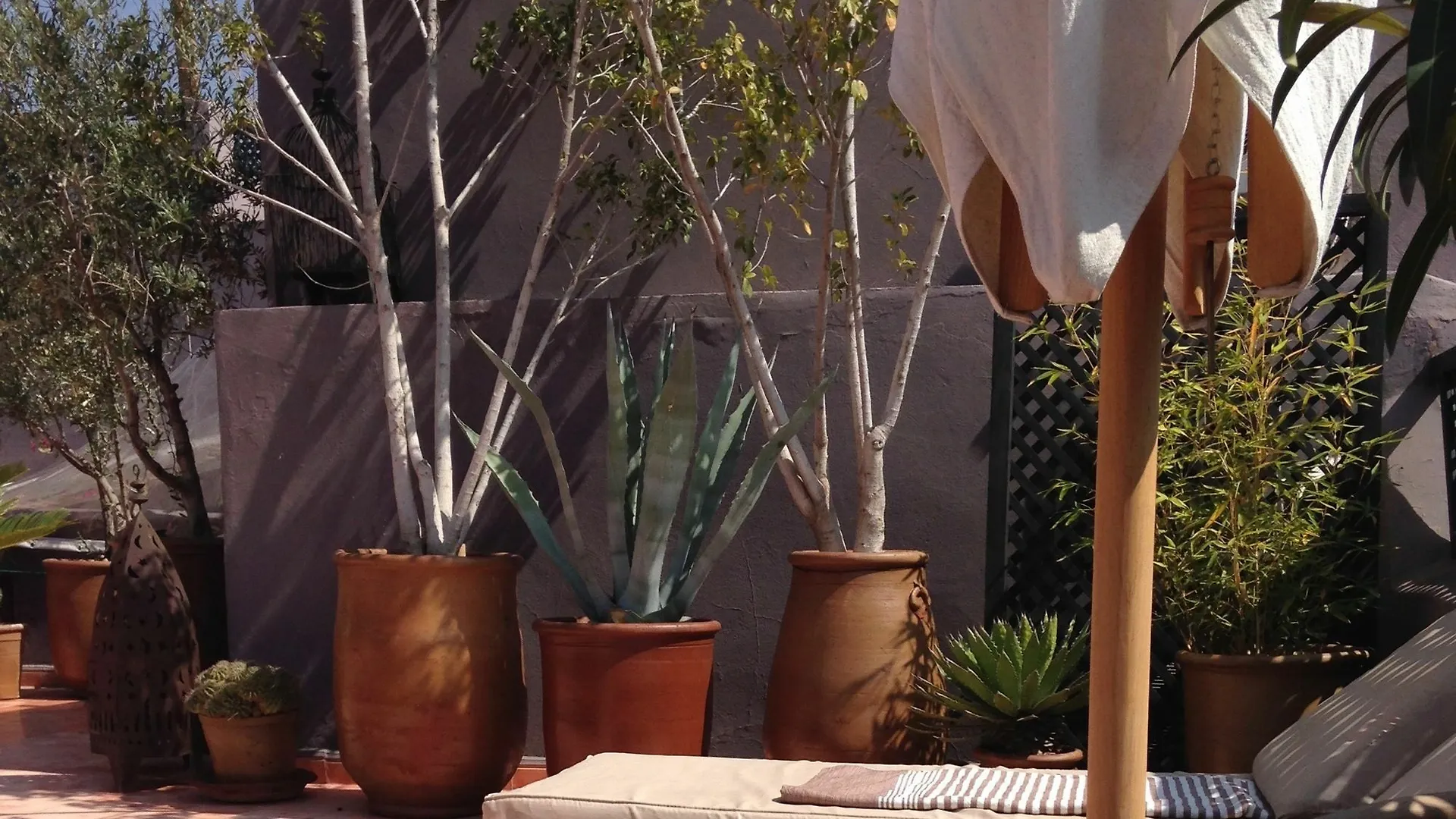 Riad Timila Marrakesh
